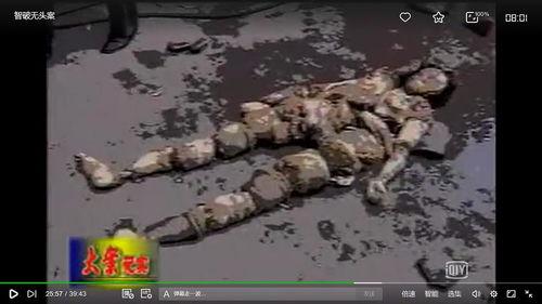 中国西部刑侦重案纪实,重案纪实背后的惊心动魄