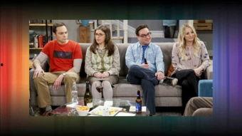 生活大爆炸  第一季,天才与宅男的欢乐碰撞