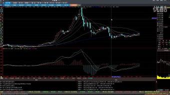 股啊股,揭秘股市风云，探寻投资智慧