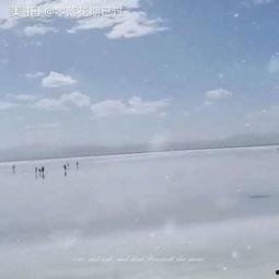 零落期如许,探寻岁月流转中的生命轨迹