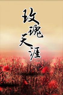 玫瑰天涯,探寻爱情与命运的浪漫之旅